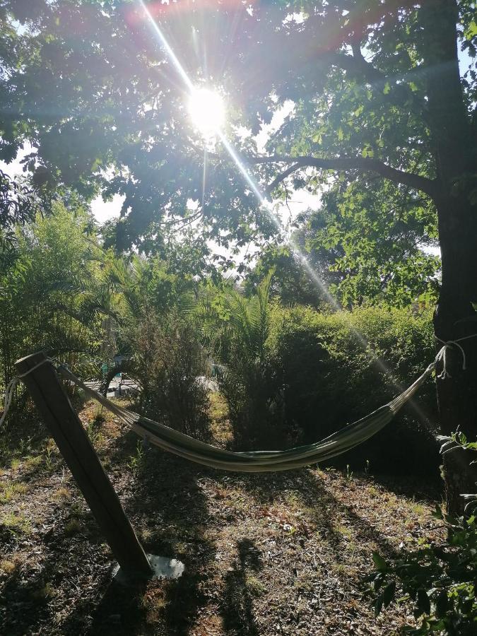 Vivenda A Nossa Coroa Villa Coja Bagian luar foto